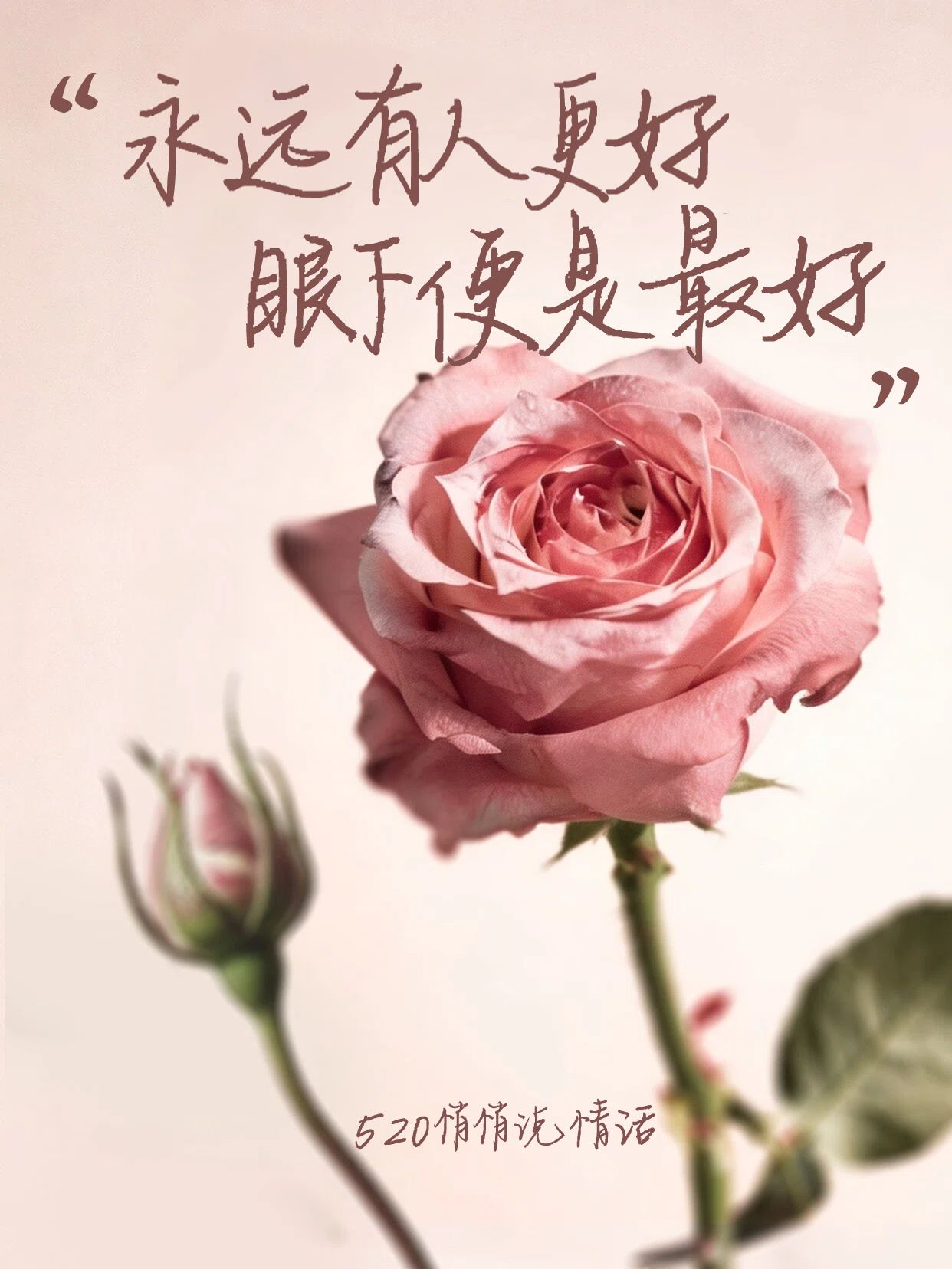 简约时尚风粉色通用类交流分享520经典语录小红书封面