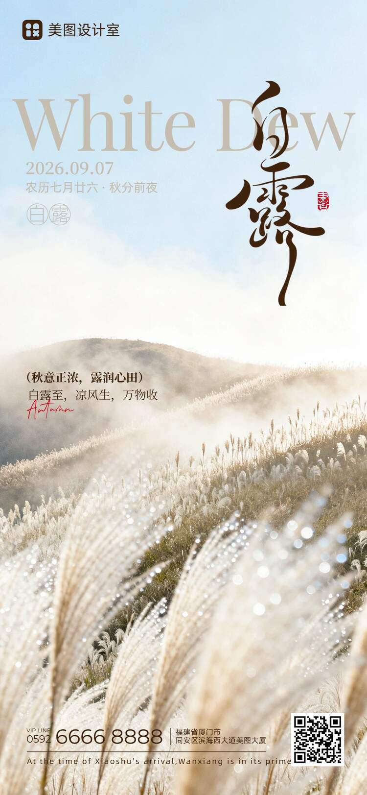 实景风棕白色通用类白露祝福问候手机全屏海报