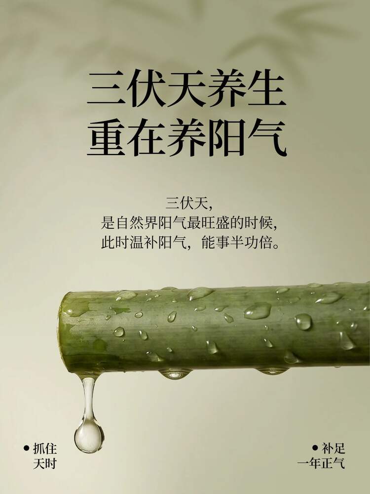 简约风绿色通用类交流分享三伏天养生保健知识科普小红书封面