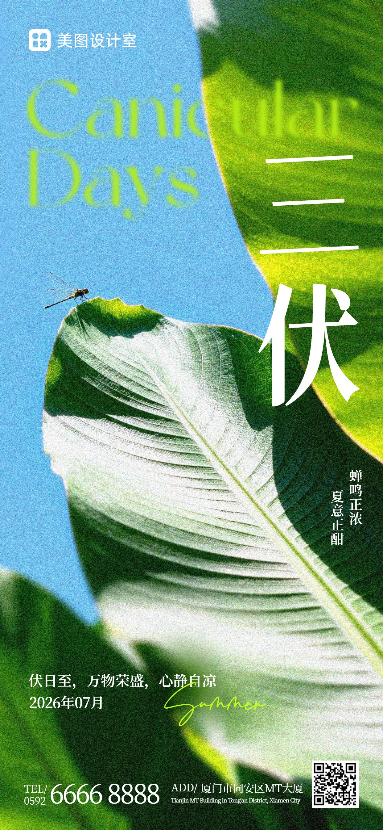 实景风蓝绿色三伏天通用类祝福问候手机全屏海报