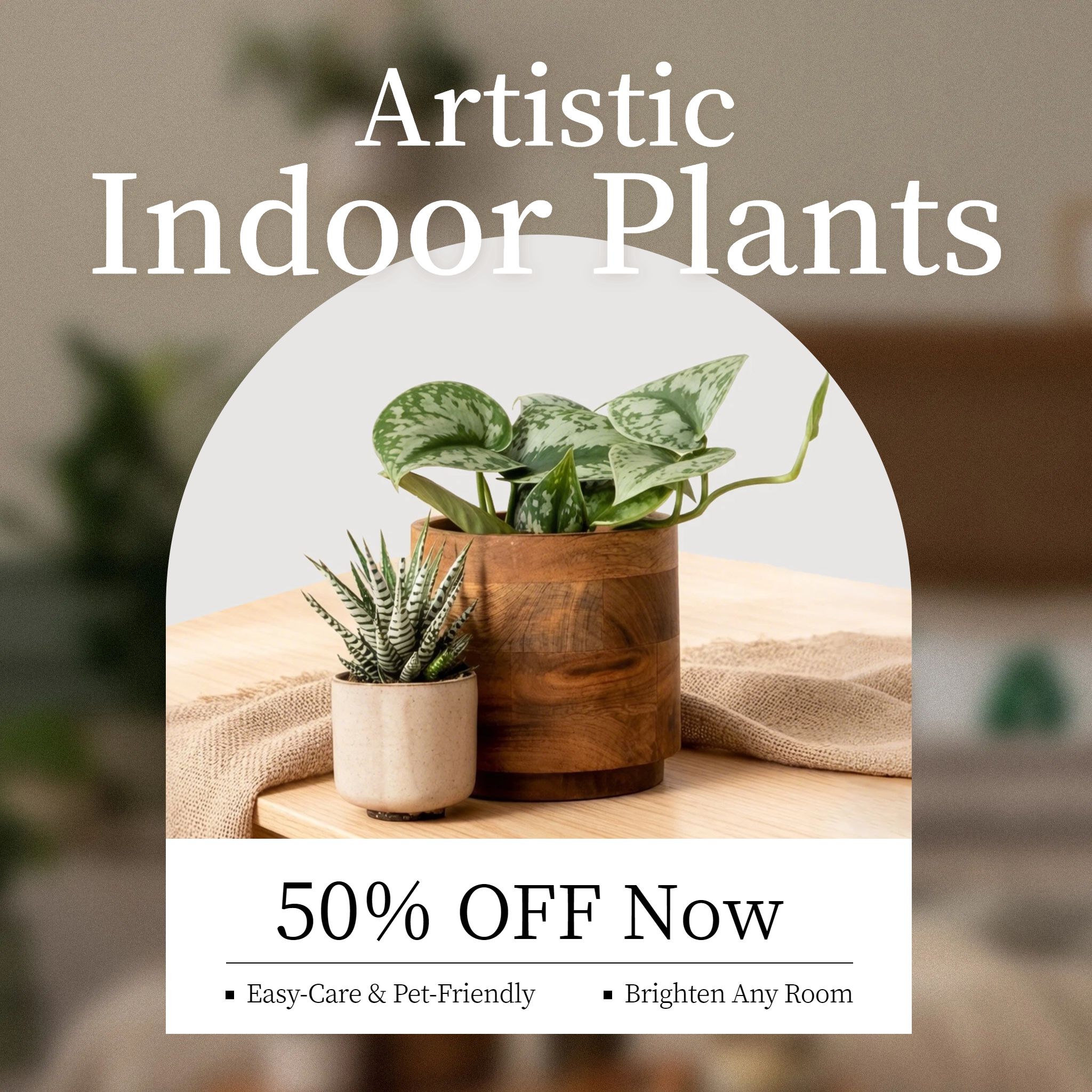 简约实景风棕色绿色营销带货家居百货类植物盆栽跨境电商主图