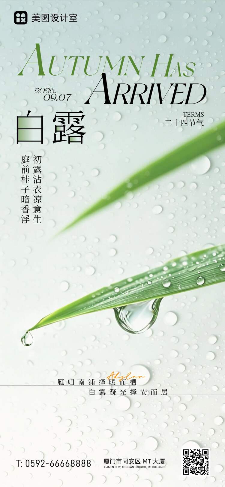 简约清新风绿色通用类白露祝福问候手机全屏海报