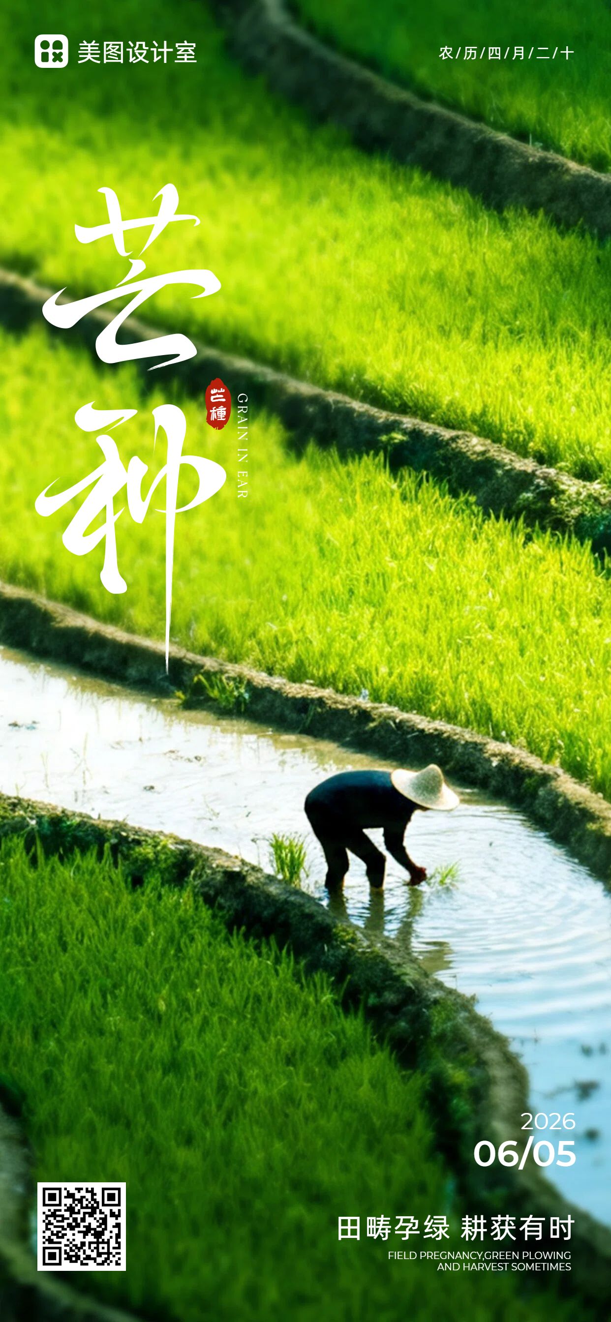 实景风黄绿色通用类芒种祝福问候手机全屏海报