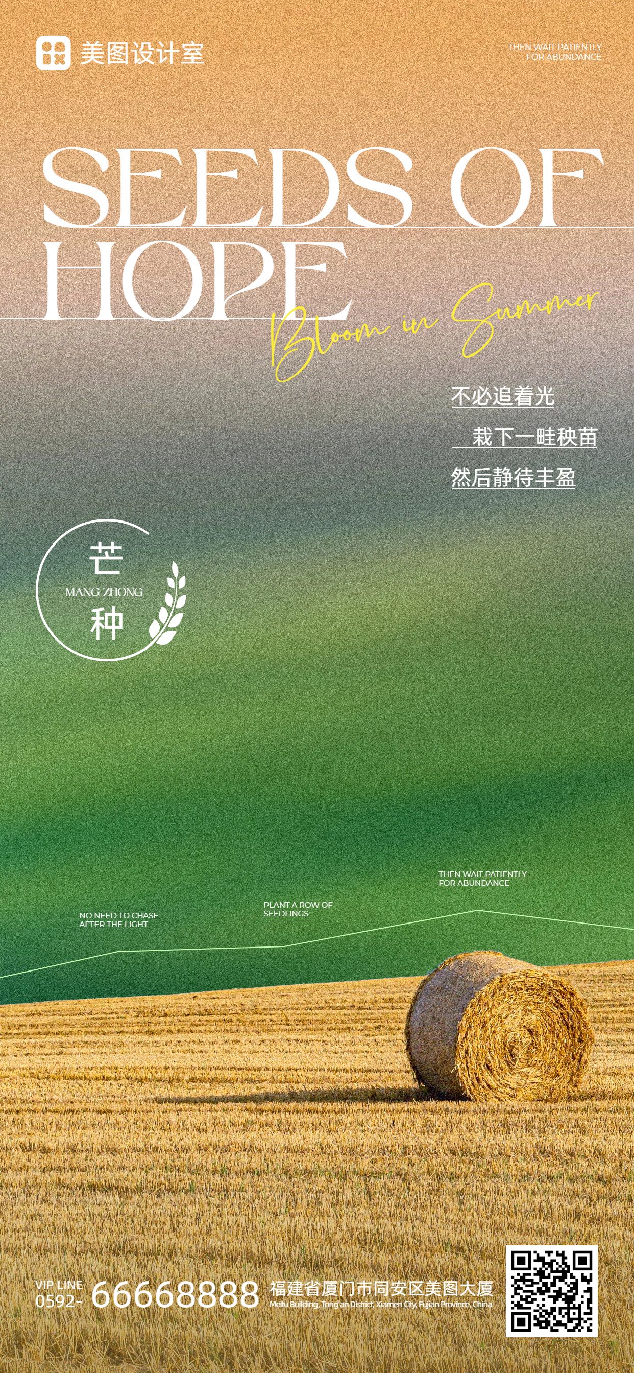 简约实景风黄绿色通用类芒种祝福问候手机全屏海报