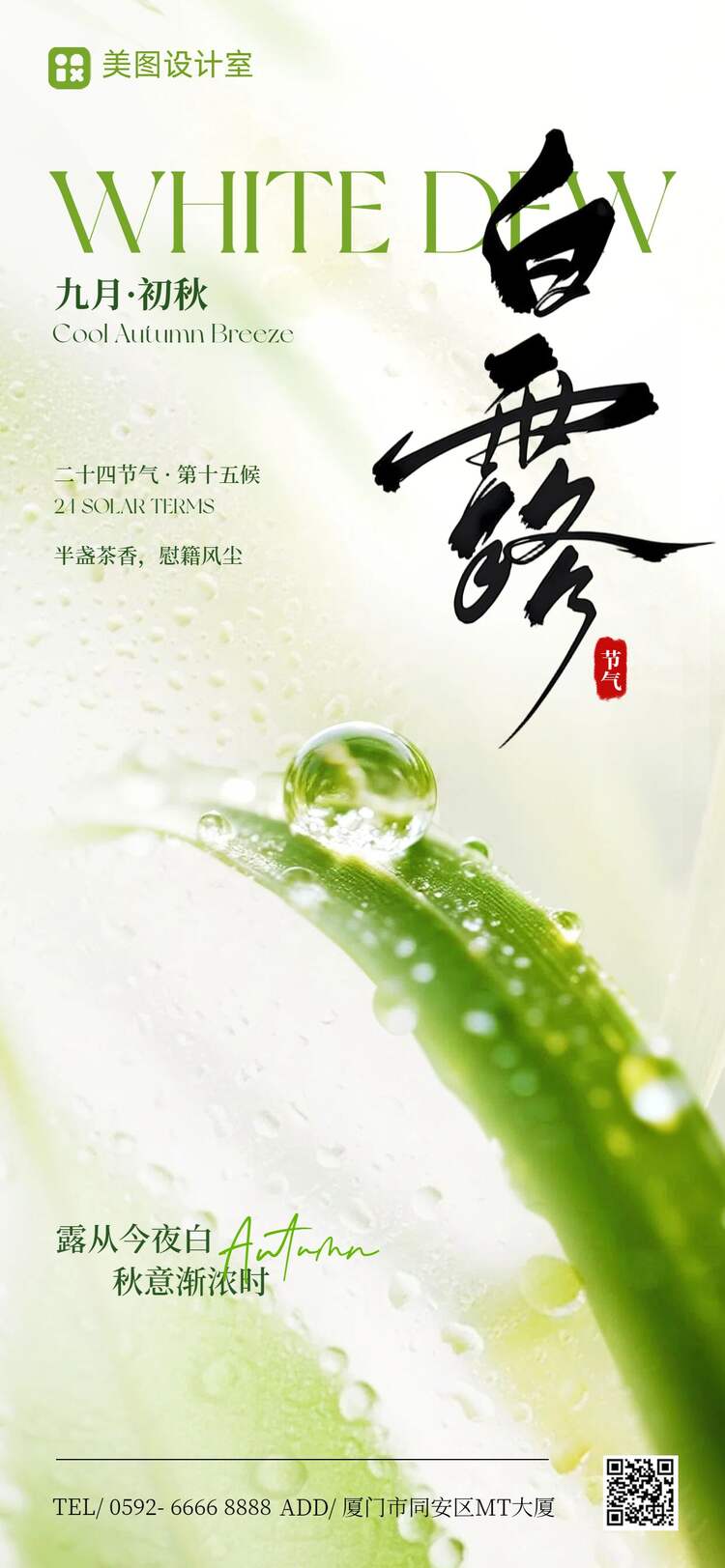 清新实景风绿色通用类白露祝福问候手机全屏海报