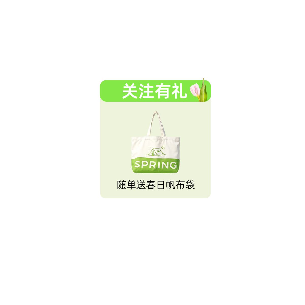 清新风绿色鞋服箱包类营销带货直播间贴片