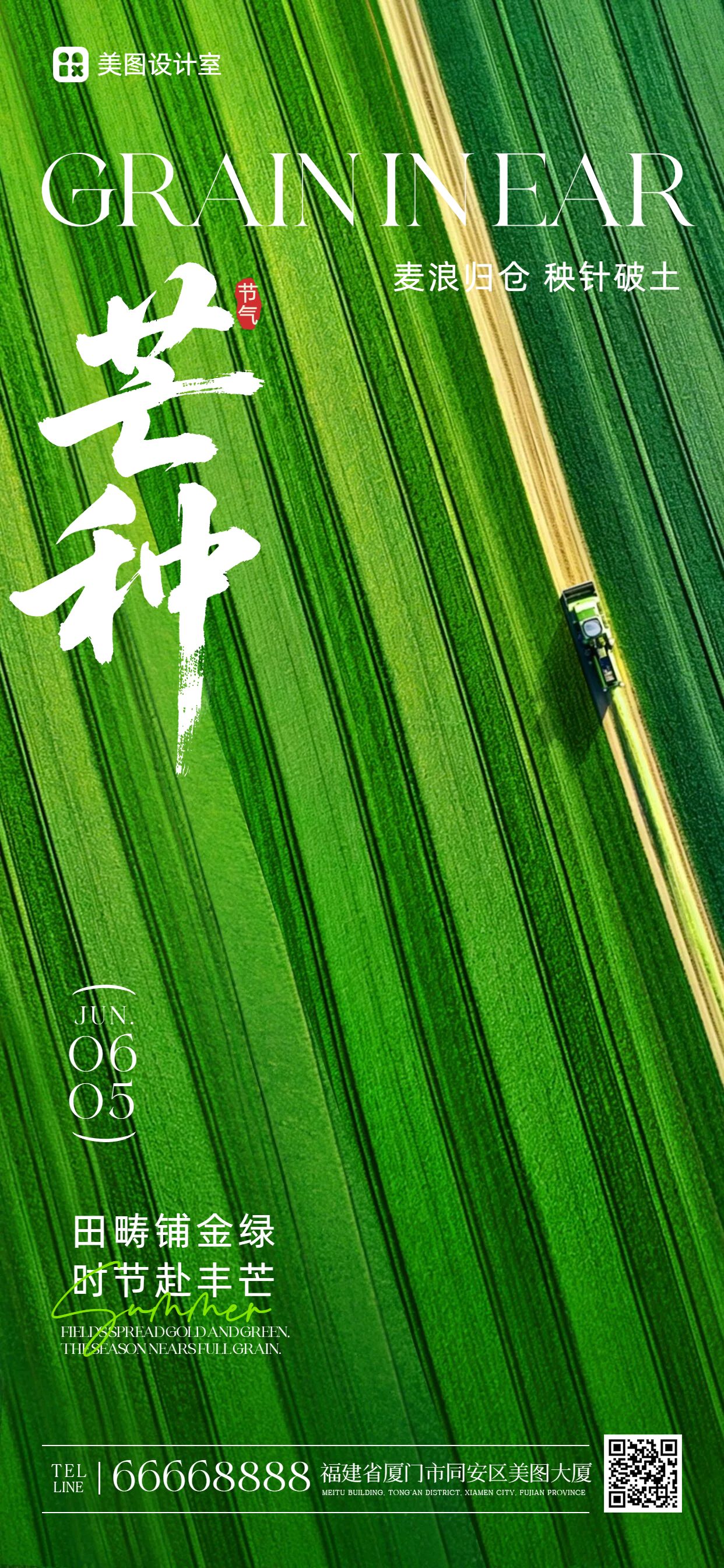 清新风绿色通用类芒种祝福问候手机全屏海报