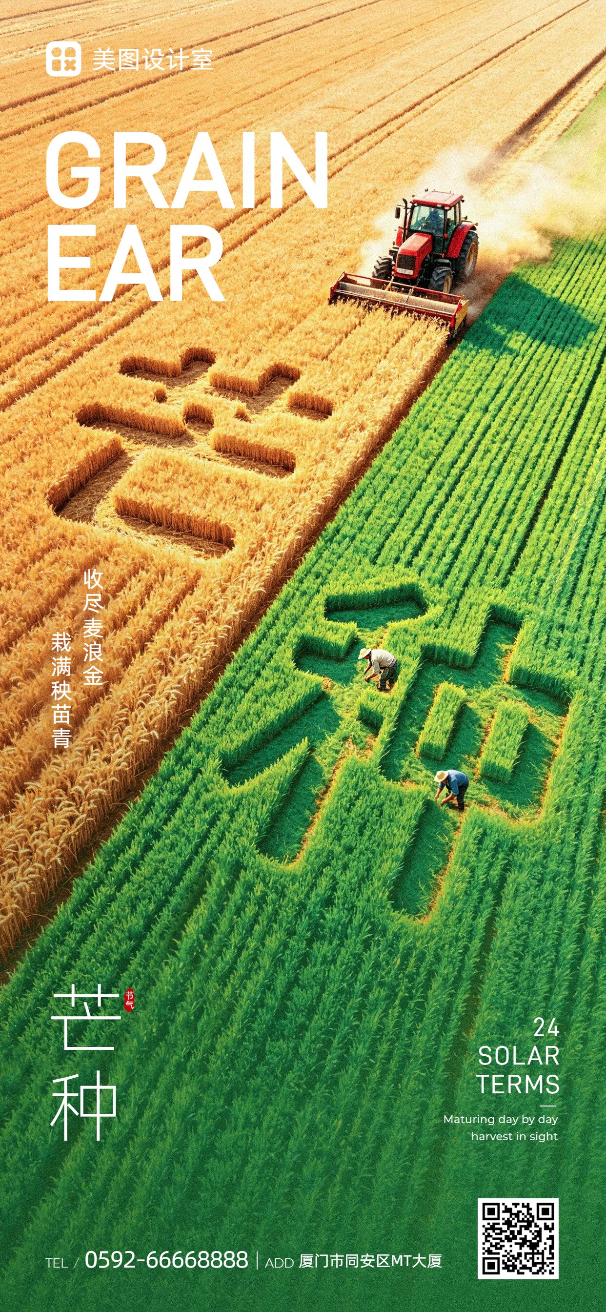 实景风橙色绿色通用类芒种祝福问候手机全屏海报