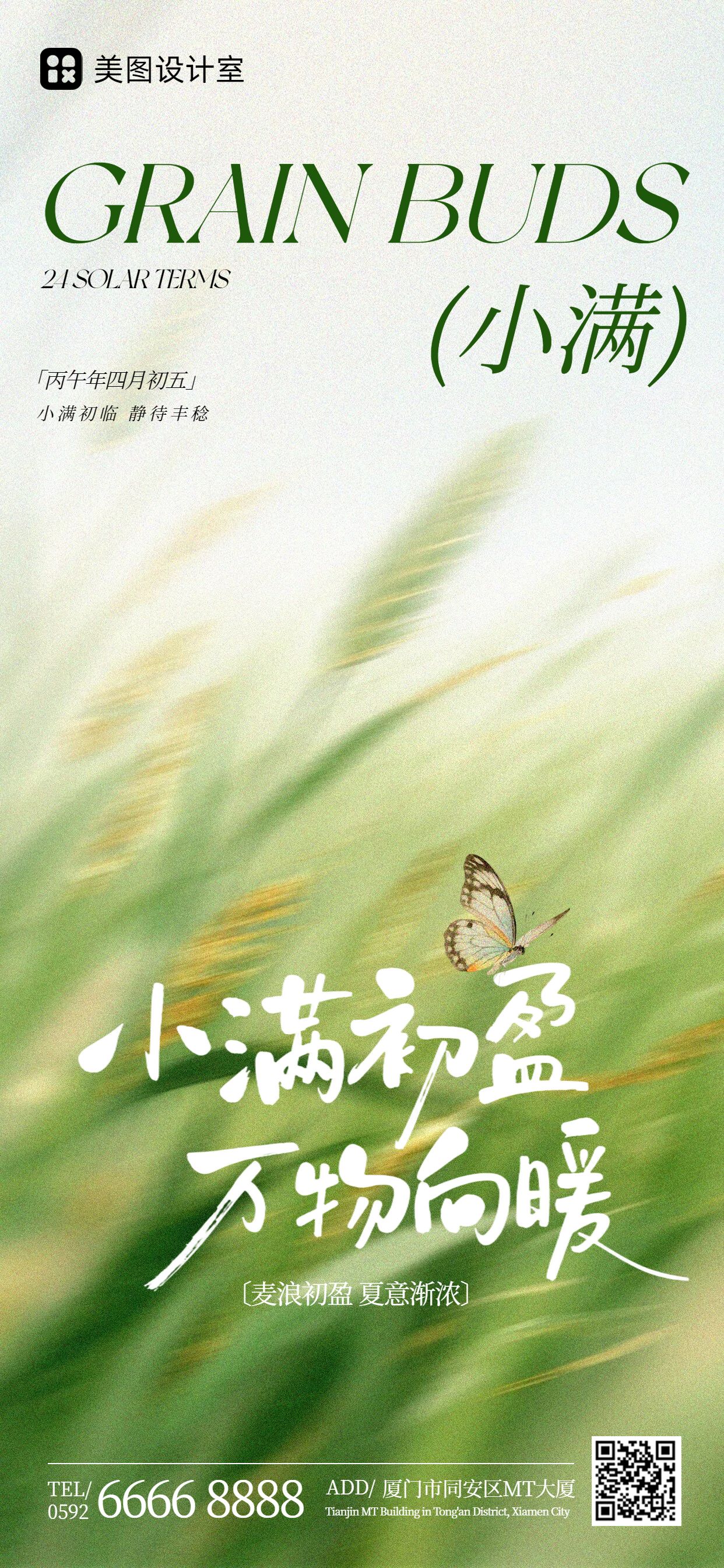 简约清新风绿色通用类小满祝福问候手机全屏海报