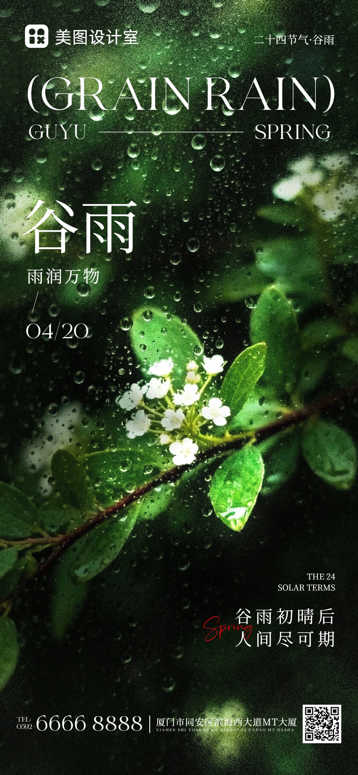 实景风黑绿色通用谷雨祝福问候手机全屏海报