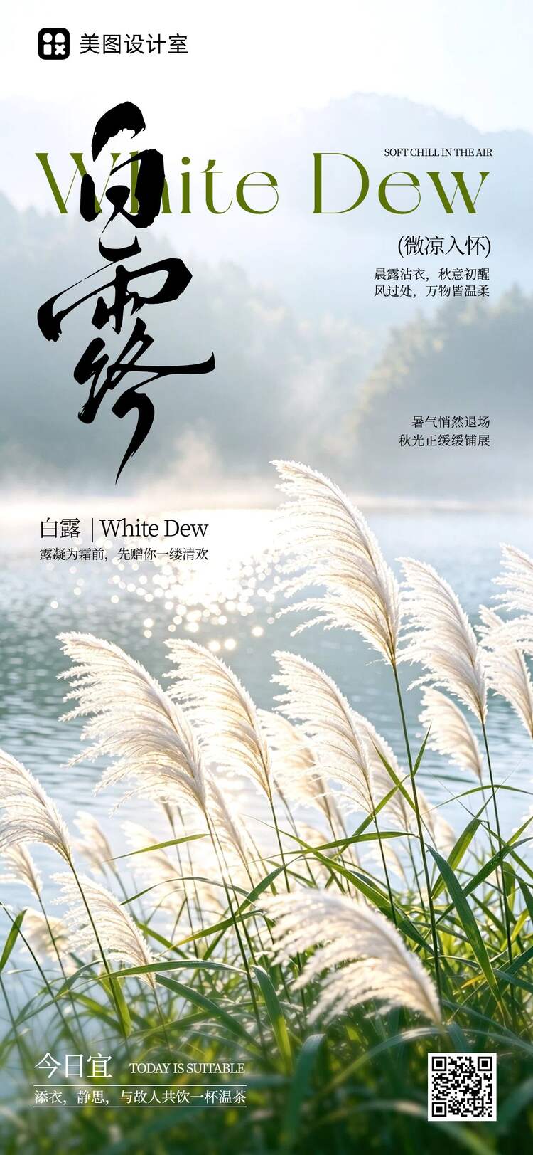 实景风绿色通用类白露祝福问候手机全屏海报