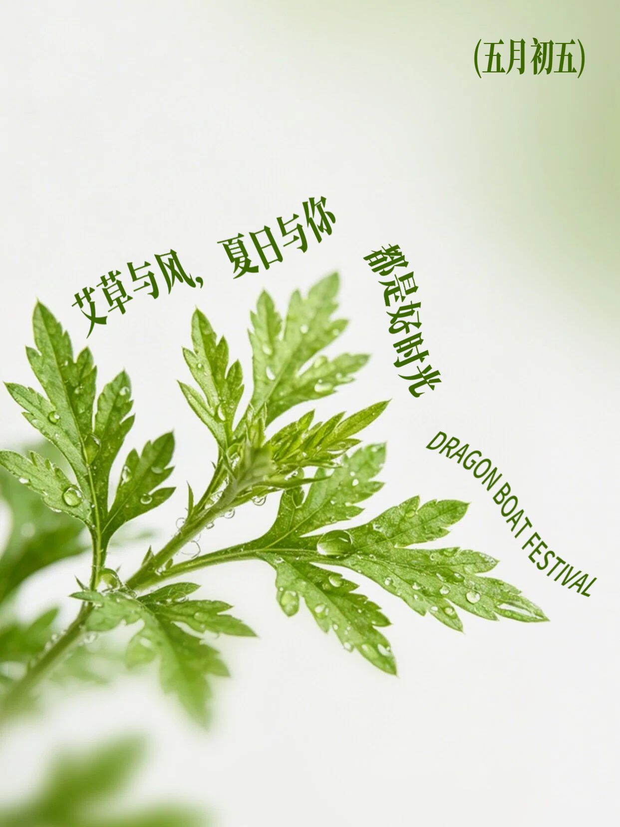 简约风绿色通用类交流分享端午节金句语录小红书封面