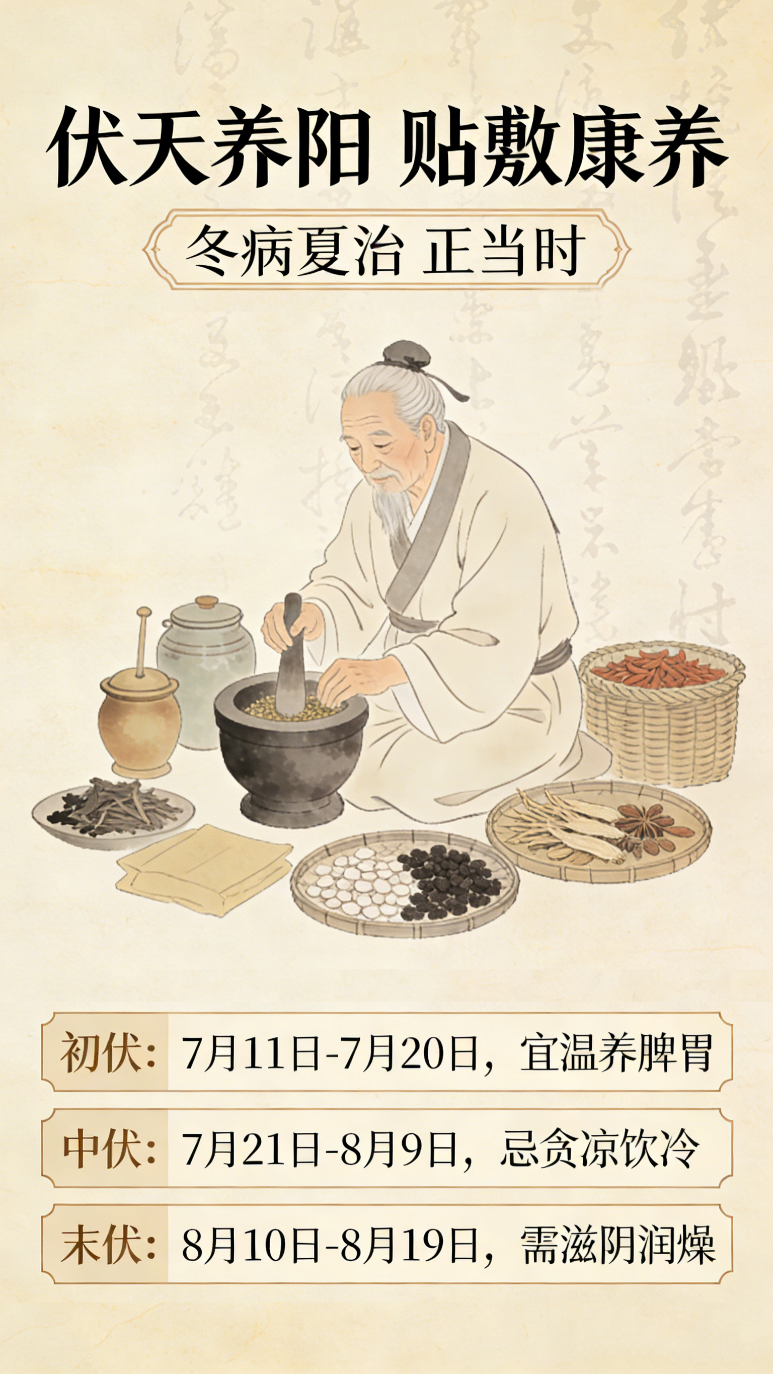 三伏天养生贴敷时间与注意事项科普海报