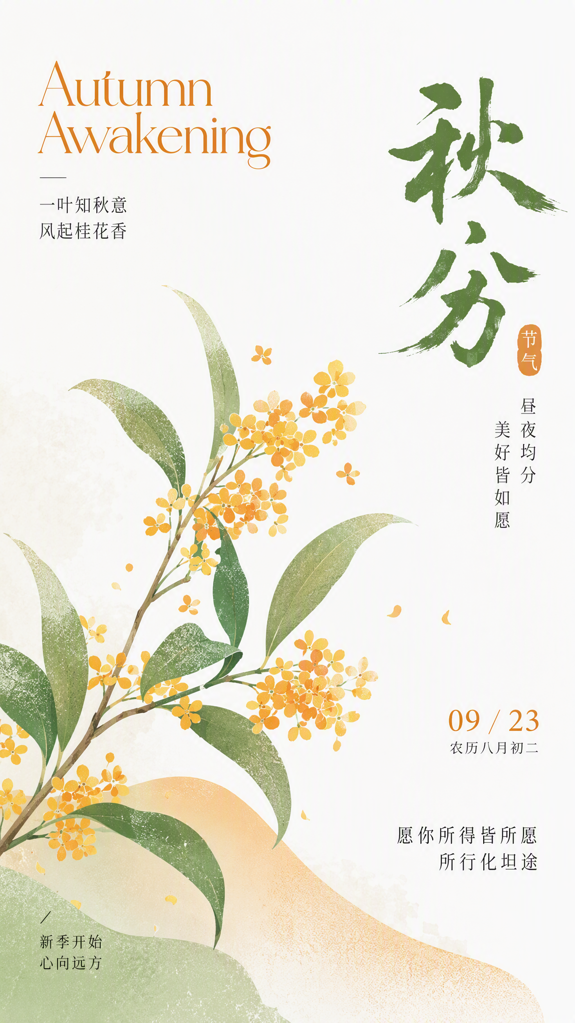 秋分节气海报