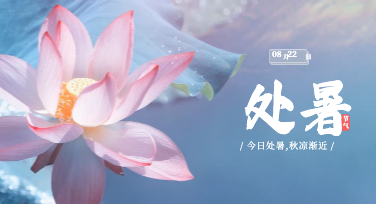 处暑营销海报：一个被低估的节气，一张被低估的海报