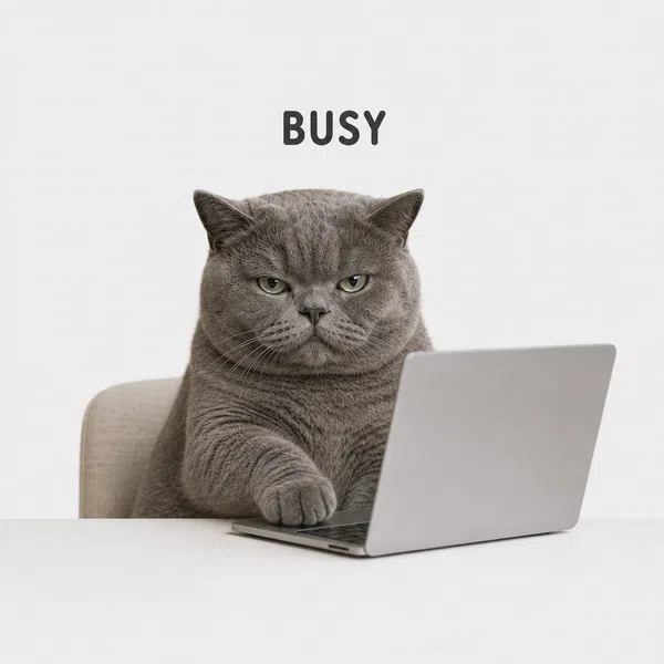 grumpy-cat-busy-laptop-sticker-pack-seo-collage