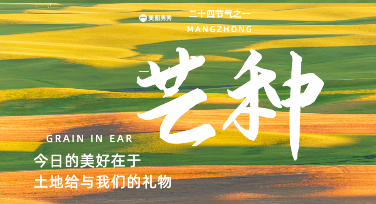 6月节气借势新思路，芒种微信营销海报适配全场景运营