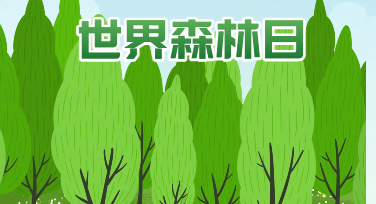 世界森林日平面设计：把一片绿意种进你的海报里