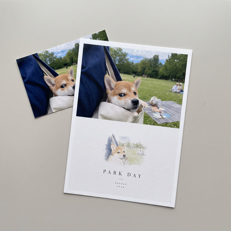 Photo Postcard