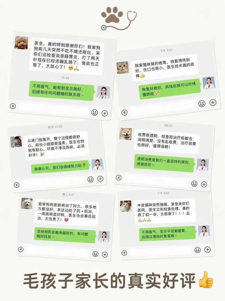 宠物家长真实好评图文