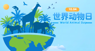 当一只动物跃上你的画布：世界动物日平面设计的视觉叙事