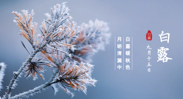 白露营销海报别只加露珠，试试这几种高级秋日叙事法