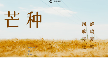 芒种模版踩着节气来了，这波素材我先收为敬