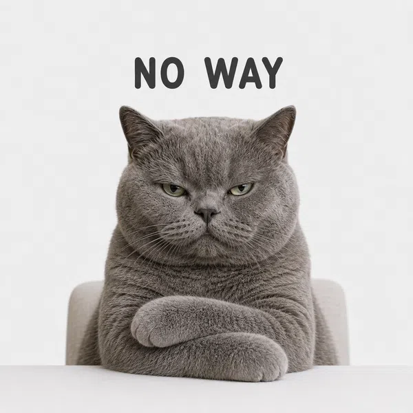 grumpy-cat-no-way-sticker-pack-seo-collage