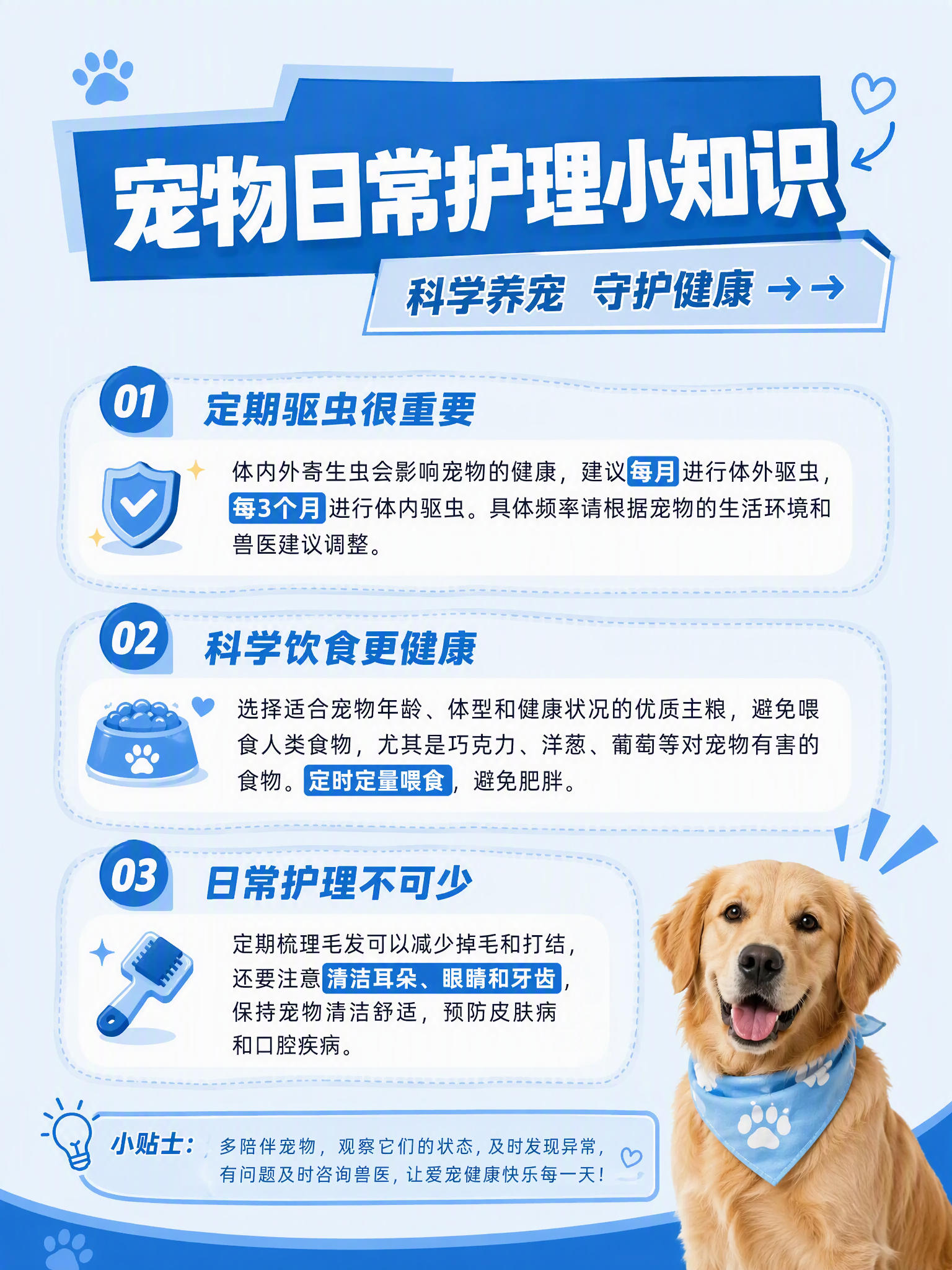 宠物日常护理小知识封面