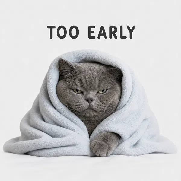 grumpy-cat-too-early-blanket-sticker-pack-seo-collage