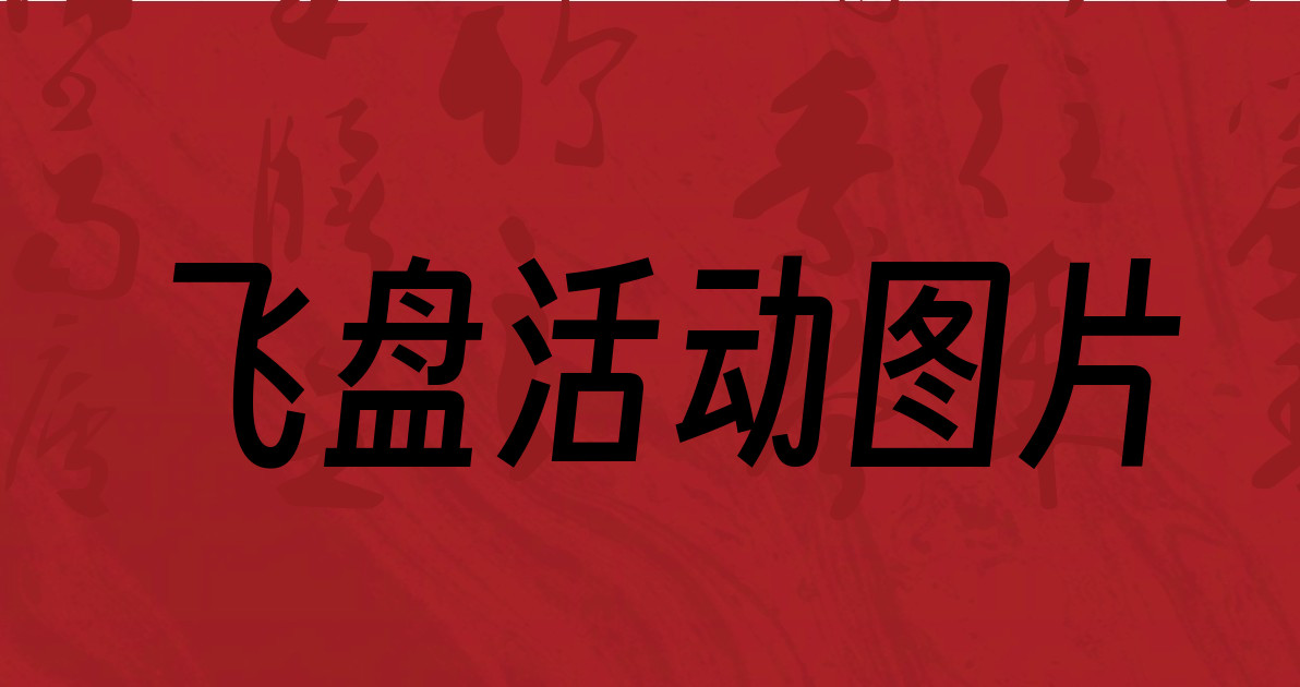 飞盘活动图片