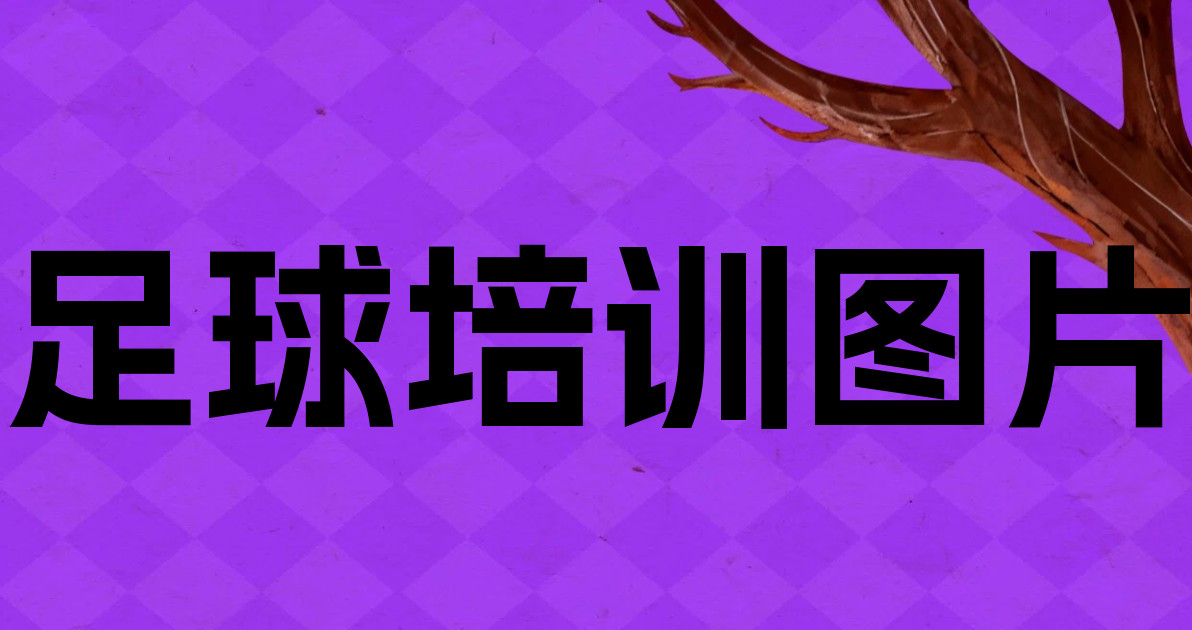 足球培训图片