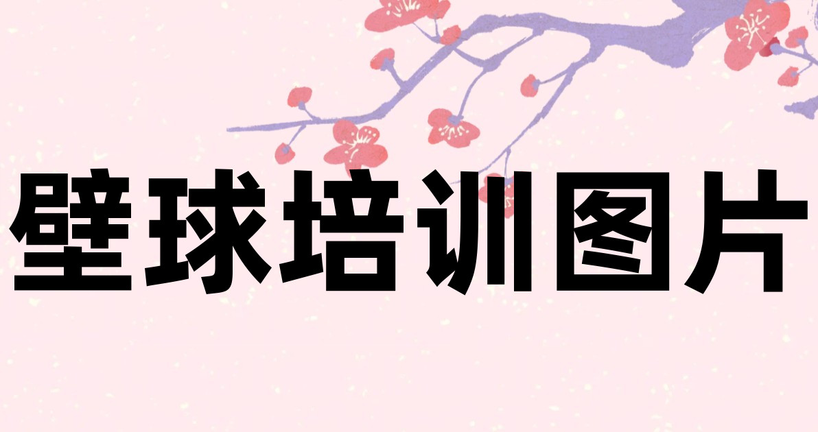 壁球培训图片