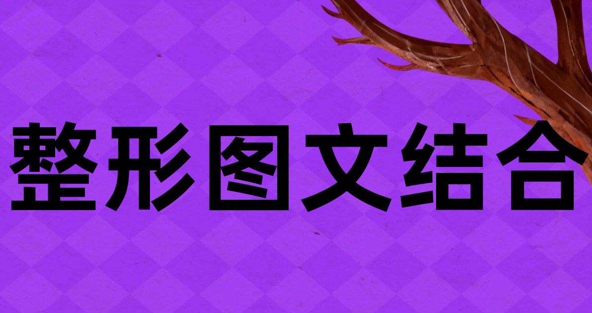 整形图文结合