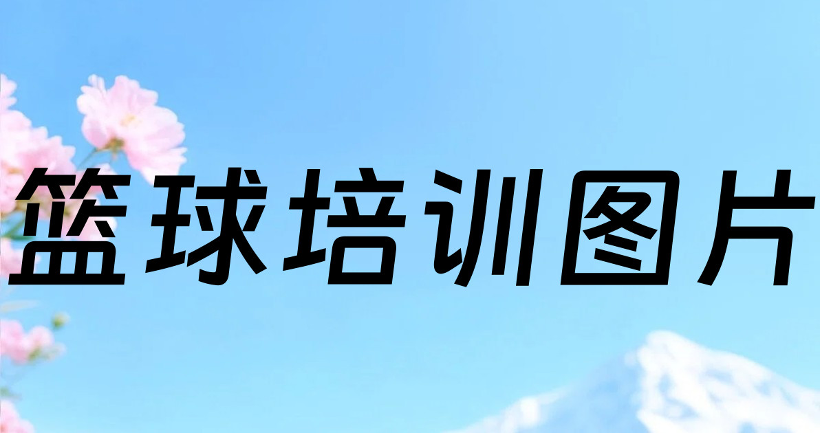 篮球培训图片