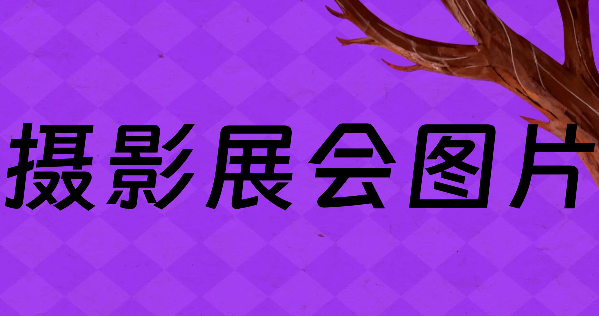 摄影展会图片