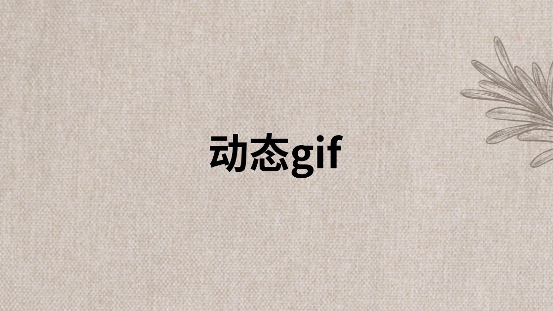 动态gif
