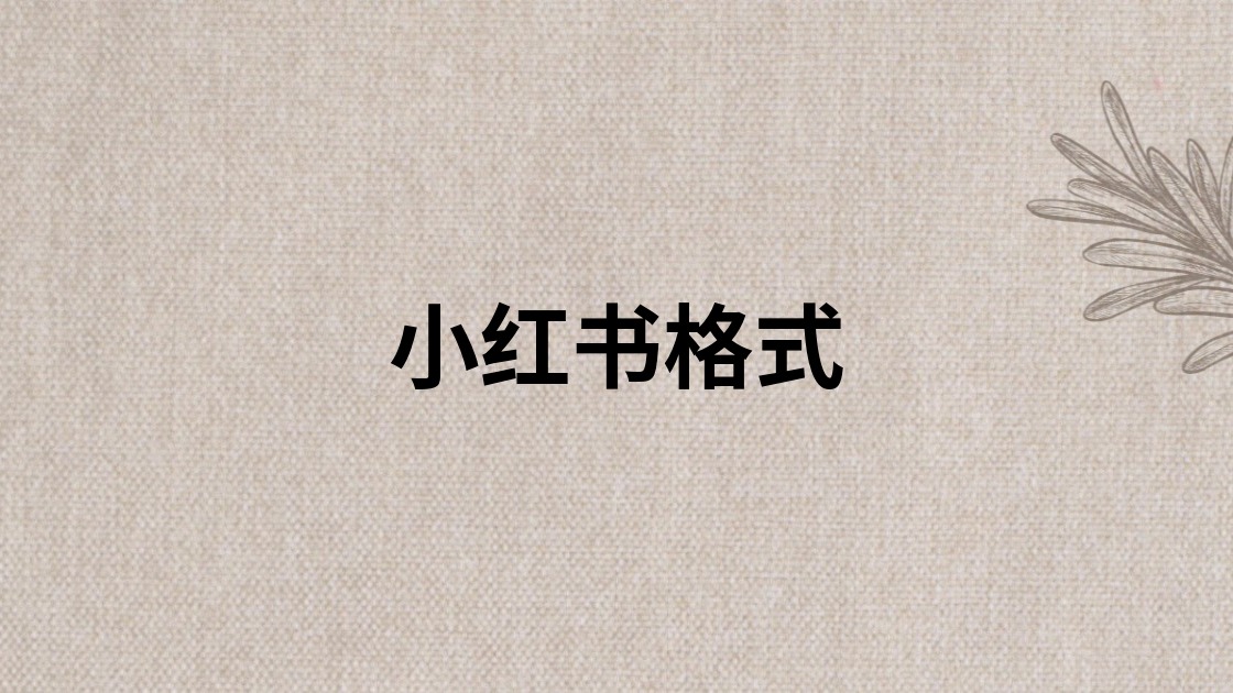 小红书格式