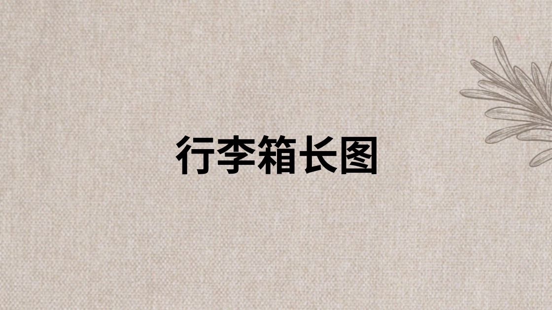 行李箱长图