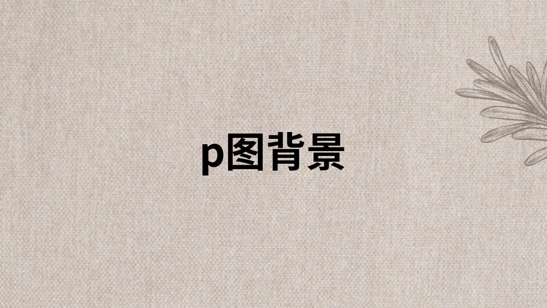 p图背景