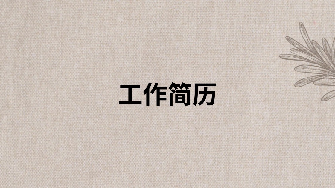 工作简历