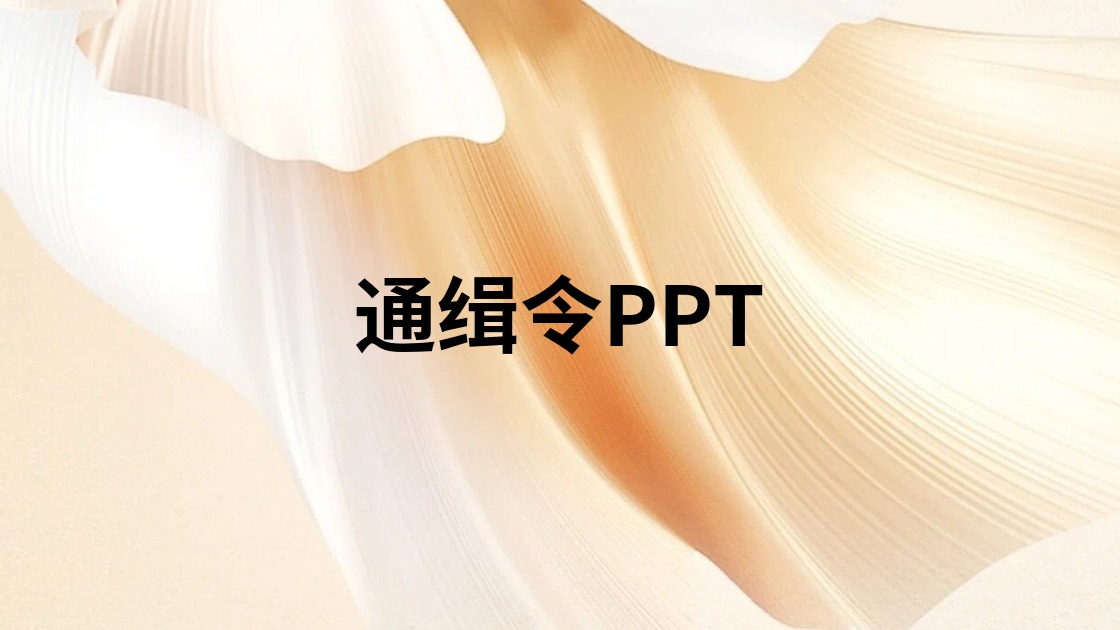 通缉令PPT